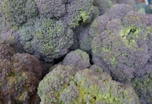 U Poghju. Brocoli