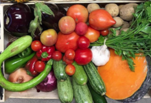 L'Ortu di San Ghjuvà. Panier de légumes