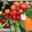 L'Ortu di San Ghjuvà. Panier de légumes