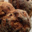 Cacavelli ou Cacavellu : pain aux figues
