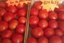 La Ferme d'Alzetta. tomate bio de plein champ