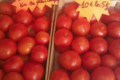 La Ferme d'Alzetta. tomate bio de plein champ