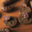 Pascal Flori Charcuterie. Figatellu fermier à rôtir