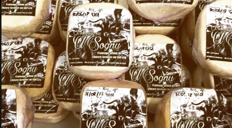Fromagerie U Sognu. Fromage affiné de chèvre au lait cru