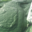 Spiruline La Spirale Verte