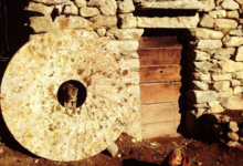 GAEC l'Apalivetu