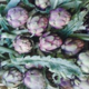 L'ortu di Biguglia. Artichaut violet