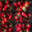 La Ferme de Queccialba. Fraises