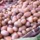 Le Potager du Nebbio. Pomme de terre