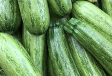 Grandi Fruits et légumes. Courgette