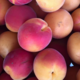 Grandi Fruits et légumes. Abricot Corse