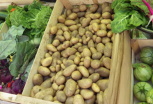 A Butteca. Pomme de terre
