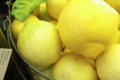 A Butteca. Citrons