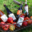 Le Verger De Giverny. Vinaigre de cidre
