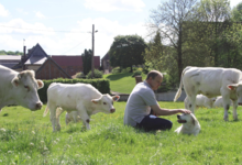 Ferme de Travailles