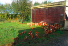 La Ferme Du Réel