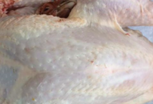 La Ferme Du Réel. Poulet prêt à cuire