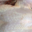 La Ferme Du Réel. Poulet prêt à cuire
