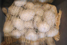 La Ferme Du Réel. Pomme de terre Alliance