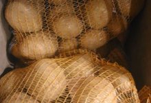 La Ferme Du Réel. Pomme de terre Nazca