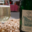 Le Clos Des Citots. Poiré