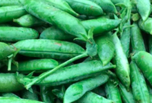 Au Panier De La Ferme. Petit pois