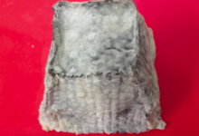 Fromagerie Poutard. Pyramide cendrée