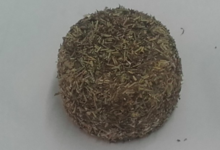 Fromagerie Poutard. Crottin de chèvre herbes de Provence