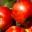 Les pommes d'Abit. Jonagold