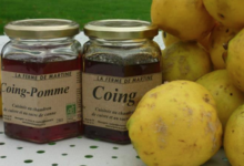 La Ferme de Martine. coing