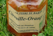 La Ferme de Martine. citrouille orange