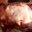 Le Ferme des 3 petits cochons. Rôti de porc