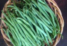 La Petite Ferme du Ponty. Haricot vert