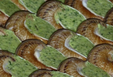  Les Escargots de Jade 