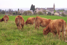 La ferme de Blandine