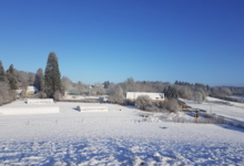 La ferme biologique de la Jonchère