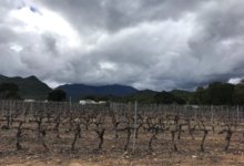 Domaine Petra Fessa
