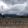 Domaine Petra Fessa