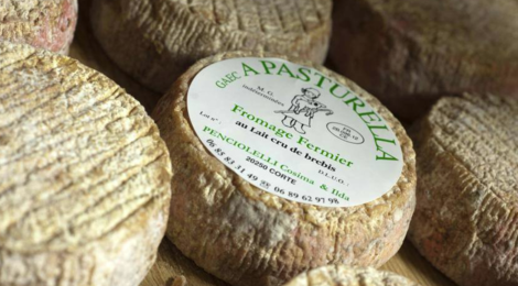 GAEC A Pasturella. Fromage fermier au lait cru de brebis