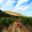 Domaine De Piscia