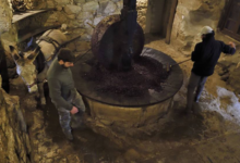 Huile d'olive U Palazzu