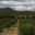 Huile d'Olive Flori 