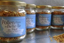 Le Rucher de l'Abeille Noire. Pollen frais de Belle Ile en Mer