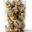 Chocolaterie Lamy. Rochat amandes chocolat blanc