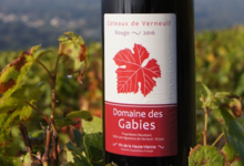 Les Vignerons De Verneuil. Rouge"Domaine des Gabies"