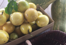 Les produits du Pic Ombo. Pomme liane