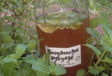 La ferme des Frerots. Kombucha menthe