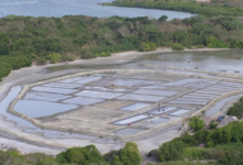 Salins de ko
