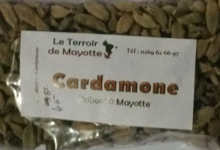 Domaine des épices. Cardamone