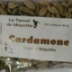 Domaine des épices. Cardamone